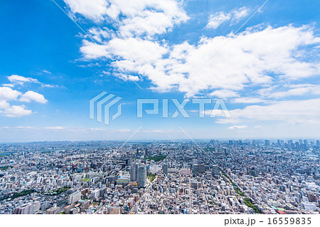 東京の街並み 16559835