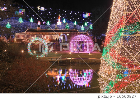 足利フラワーパーク　イルミネーション 16560827