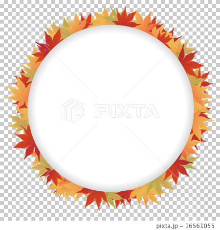 秋天的樹葉 16561055