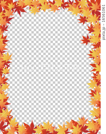 秋天的樹葉 16561061
