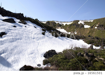 白根山の雪解け 16561501