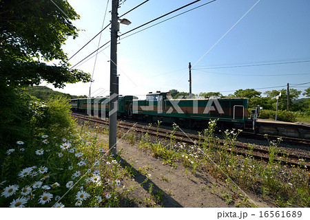 湿原ノロッコ号 湿原ノロッコ号 16561689