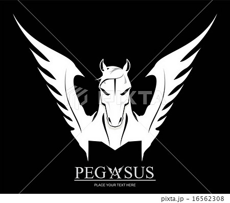 White Pegasus Horse Head White Pegasus Horse Head 16562308