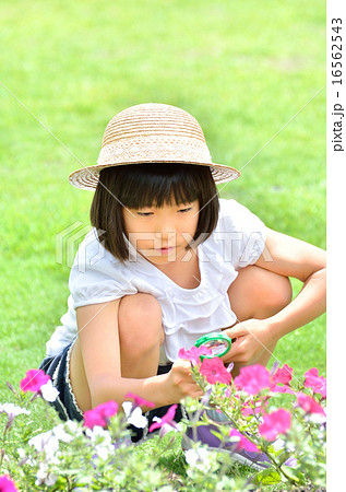 虫めがねで花を観察する女の子 麦わら帽子 の写真素材