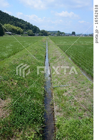用水路 用水路 16562638