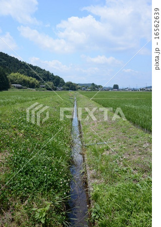 用水路 用水路 16562639