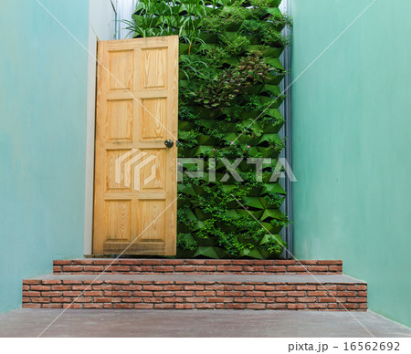 Beautiful Hidden Painted Peeling Door to Home 16562692