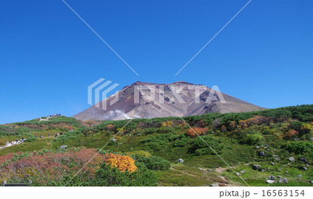 秋の大雪山最高峰・旭岳 秋の大雪山最高峰・旭岳 16563154
