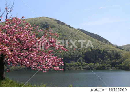 Japan,Miyagi,Lake 16563269