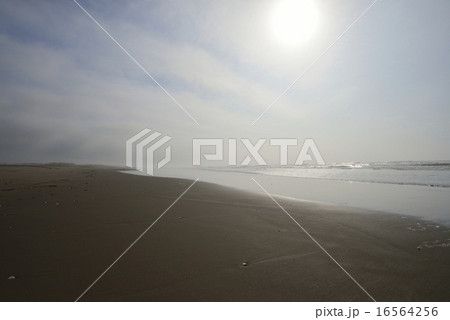 九十九里浜の木戸浜海岸 九十九里浜の木戸浜海岸 16564256