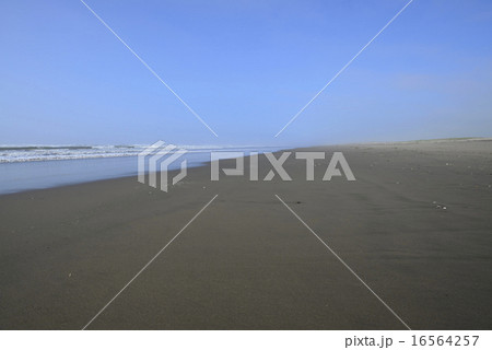 九十九里浜の木戸浜海岸 九十九里浜の木戸浜海岸 16564257