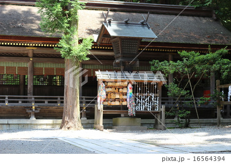 諏訪大社 春宮 諏訪大社 春宮 16564394