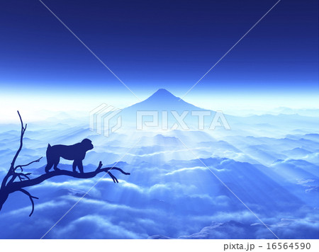 富士山と猿 16564590