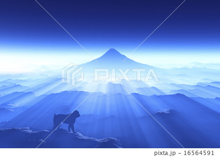 富士山と猿 16564591