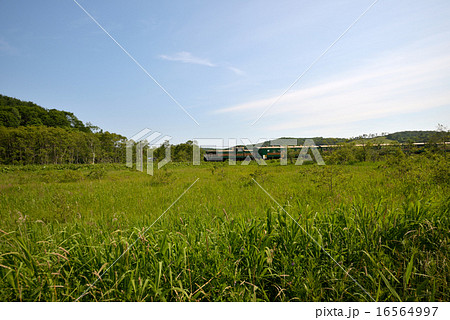 湿原ノロッコ号 湿原ノロッコ号 16564997