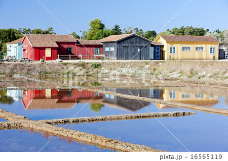 saline, Port des Salines, Oleron Island 16565119
