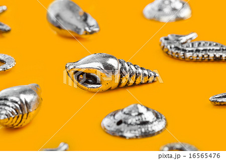 Sea conches - beach background 16565476