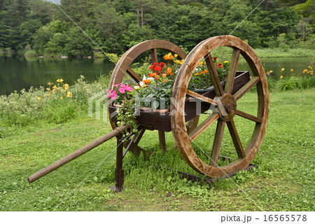 花車 花車 16565578