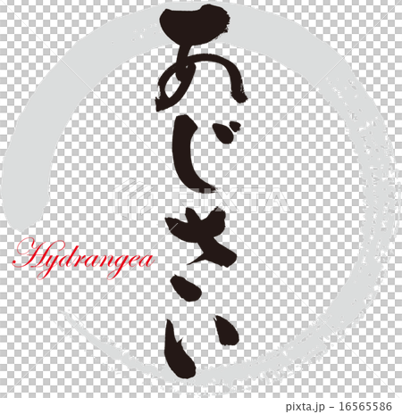 あじさい 16565586