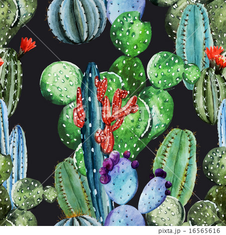 Watercolor cactus pattern 16565616