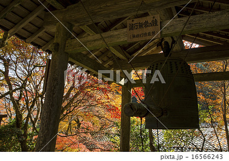 京都大原 秋の寂光院 京都大原 秋の寂光院 16566243
