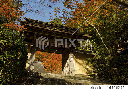 京都大原　寂光院の紅葉 16566245