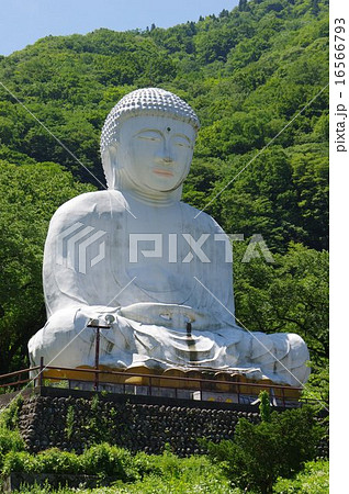新潟　糸魚川大所　白馬温泉にある白馬大仏 16566793