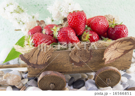 Strawberries on miniature old carts 16566851