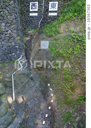 新潟　糸魚川ジオパーク　フォッサマグナの断層の露頭（糸魚川静岡構造線） 16567303
