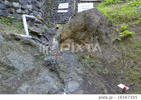 新潟　糸魚川ジオパーク　フォッサマグナの断層の露頭拡大（糸魚川静岡構造線） 16567305