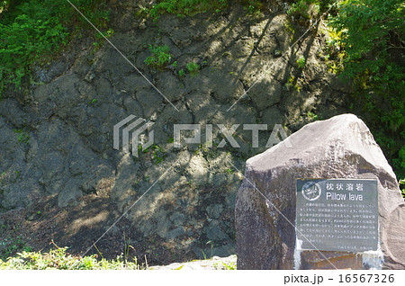 新潟　糸魚川ジオパーク　枕状溶岩の露頭（横） 16567326