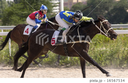 Horse racing 16567534