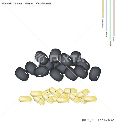Black Bean with Vitamin B, Protein, Minerals 16567832