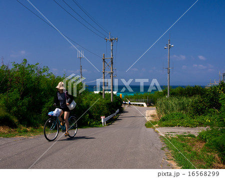 波照間ブルー 波照間ブルー 16568299