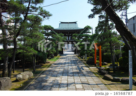 千葉県松戸市 萬満寺の山門と参道 千葉県松戸市 萬満寺の山門と参道 16568787