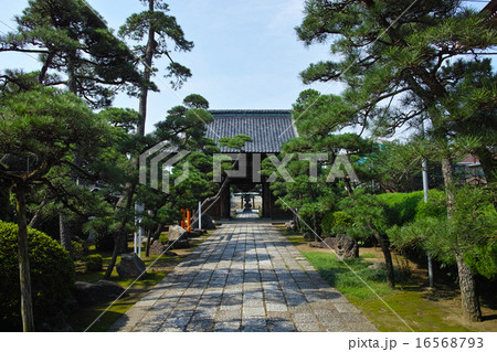 千葉県松戸市 萬満寺の参道と仁王門 千葉県松戸市 萬満寺の参道と仁王門 16568793