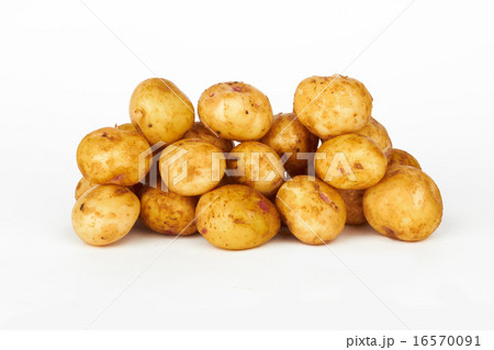 potatoes potatoes 16570091
