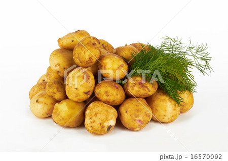 potatoes potatoes 16570092