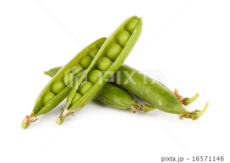 green pea 16571146