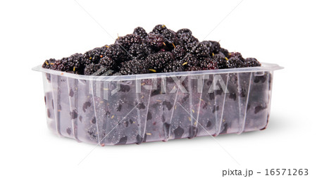 Mulberry in a plastic tray rotated 16571263