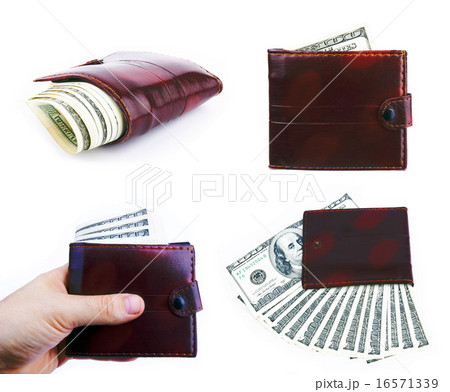 purses purses 16571339