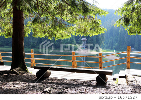 shore of Lake Synevir 16571527