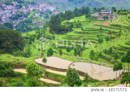 Farm on rice terraced fields in surice,  16571573