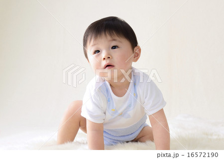 可愛い子供 可愛い子供 16572190
