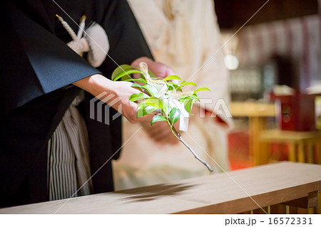 Bride's kimono by pure white dress Bride's kimono by pure white dress 16572331