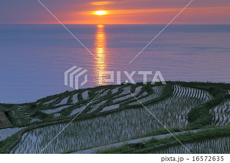 白米千枚田の夕日 白米千枚田の夕日 16572635