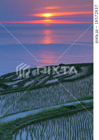 白米千枚田の夕日 白米千枚田の夕日 16572637
