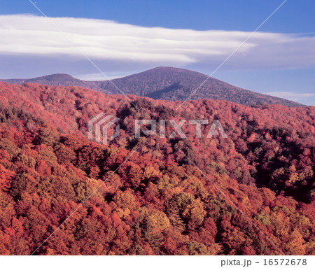 晩秋の吾妻連峰 16572678