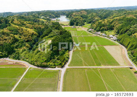 少しづつ緑色の濃くなる水田と里山のあるいすみの田園風景を空撮 少しづつ緑色の濃くなる水田と里山のあるいすみの田園風景を空撮 16572693