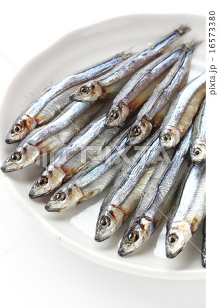 きびなごの丸干し きびなごの丸干し 16573380